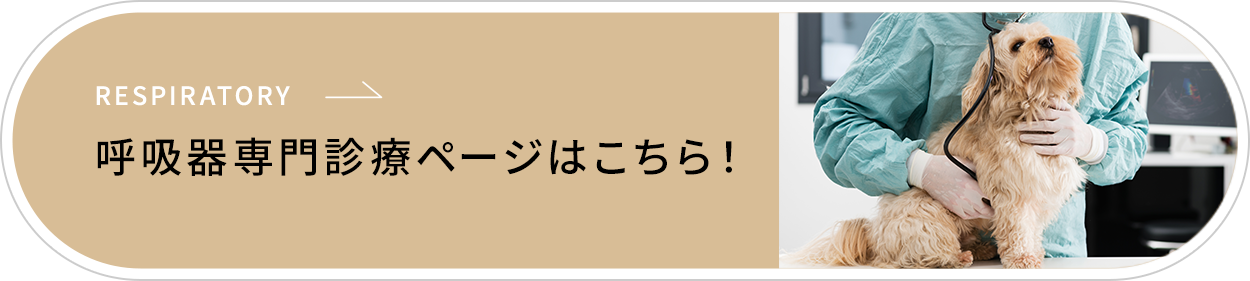 呼吸器専門診療ページを開設しました！