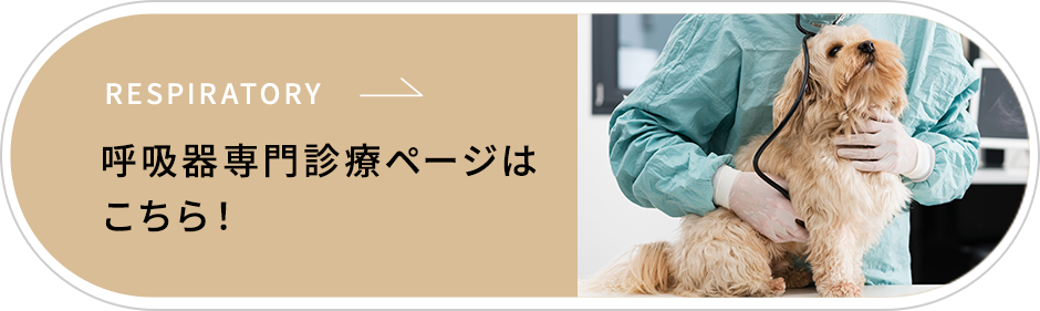 呼吸器専門診療ページを開設しました！
